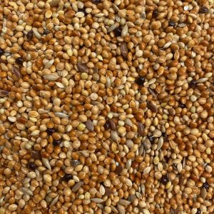 Lüks Taze Karışık Muhabbet Kuşu Yemi 5 kg